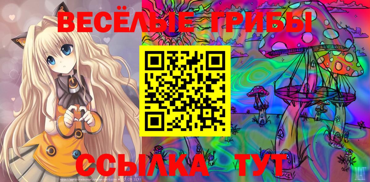 Псилоцибиновые грибы Psilocybe Троицк