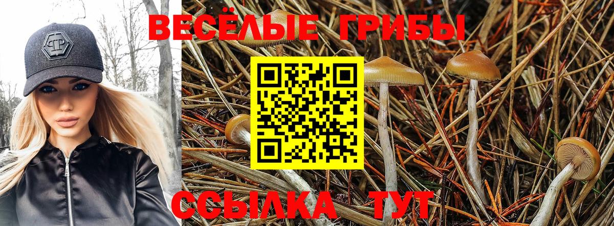 Псилоцибиновые грибы прущие грибы  наркотики  Троицк  Вход с VPN 